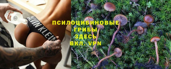 синтетический гашиш Новодвинск