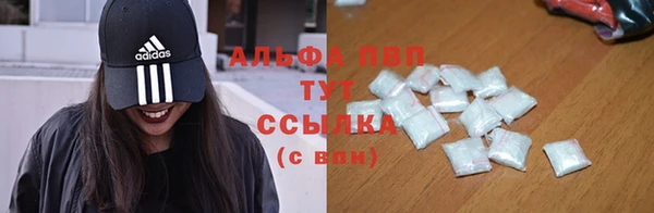 спайс Арсеньев