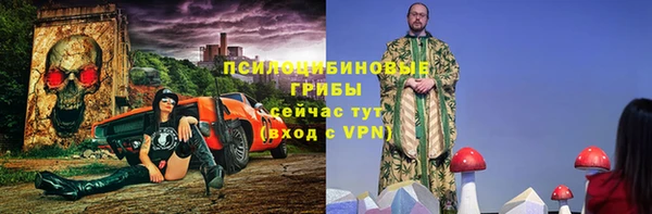 спайс Арсеньев
